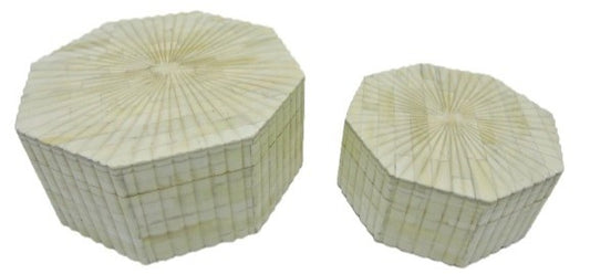 Box (Natural bone)