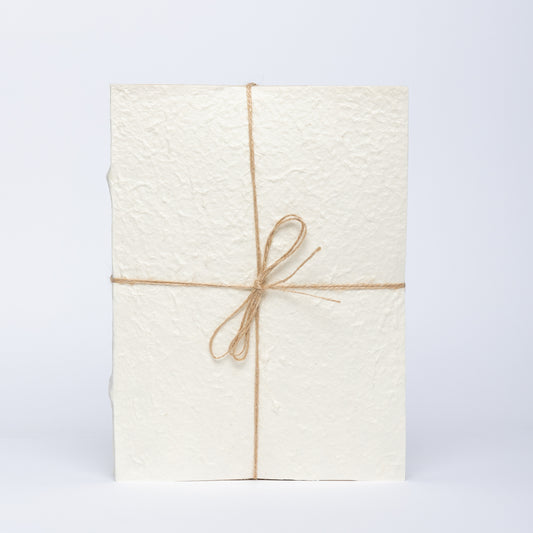 Decorative Beige Book Accessory - Large