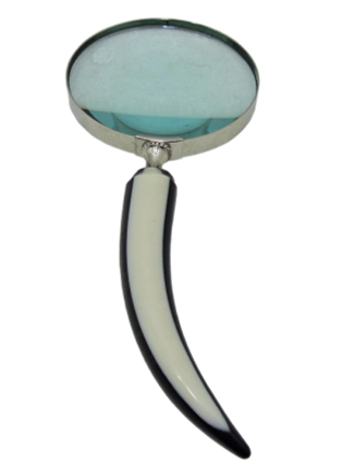 Magnifying glass (Curve)