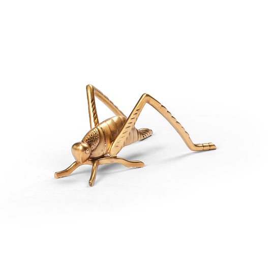 Decorative Grasshopper