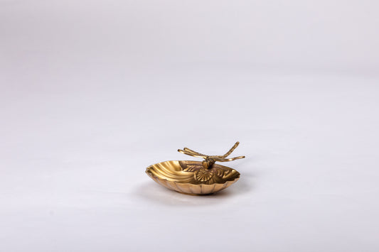Dragonfly in a Shell