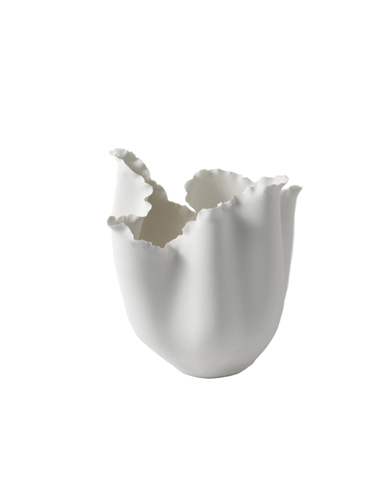 Decorative Porcelain Vases - 01A & 01B