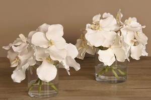Vanda Arrangement in Glass Vase