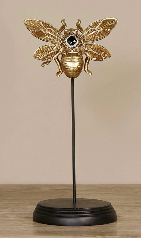 Insect on Metal