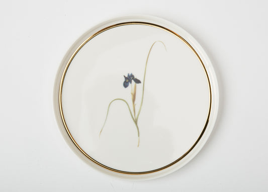 BOTANICAL Flat Plate