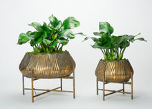 Load image into Gallery viewer, Set of 2 Gold Metal Round Planters
